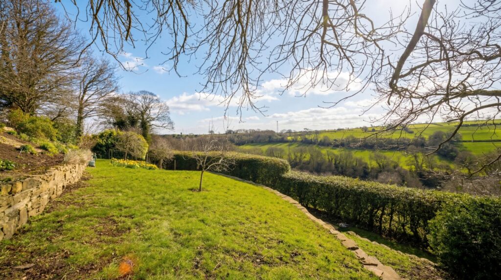 hf_20260315_192300_bb5c6782-2d25-4ff0-81f7-3aec0f5e4e28